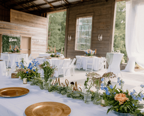 stone and ivy wedding venue tuscany opelika alabama indoor outdoor bride